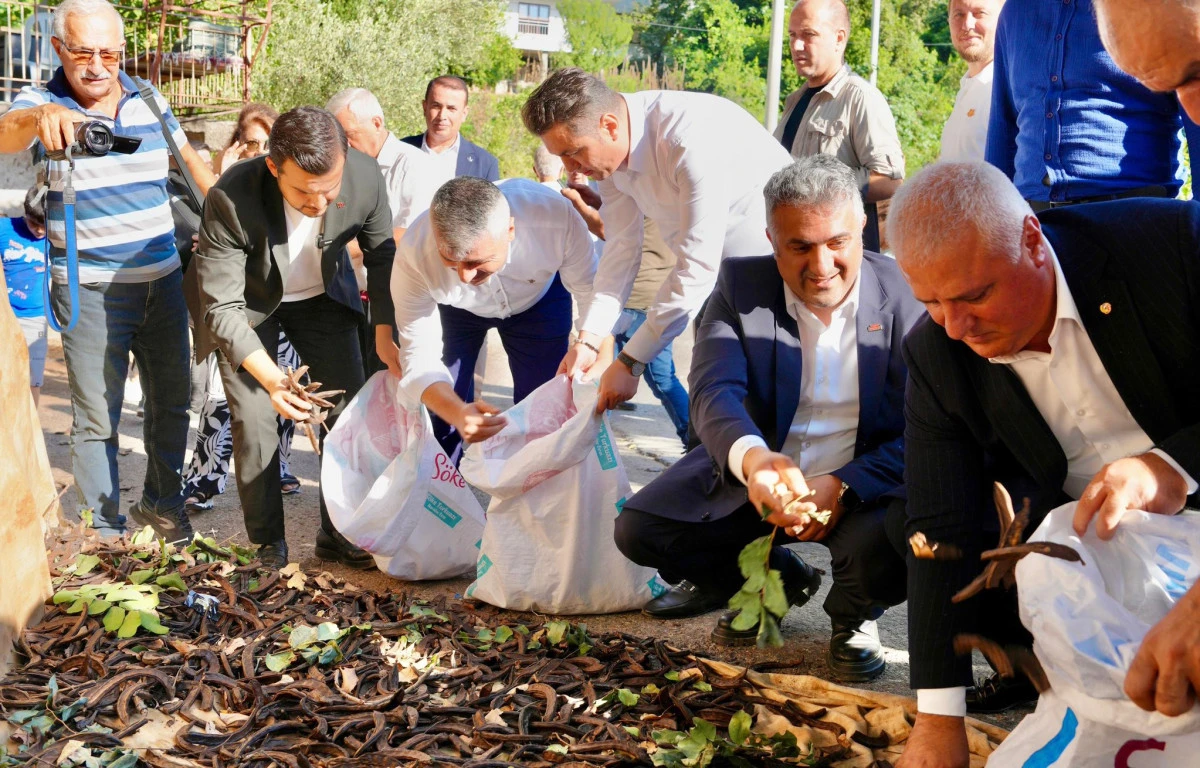 ALANYA'MIZIN KEÇİBOYNUZU COĞRAFİ İŞARETLE TESCİLLENDİ
