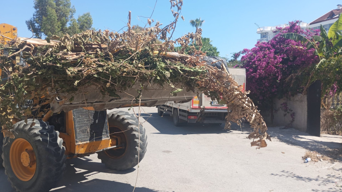 KEMER'DE FUL TEMİZLİK DÖNEMİ