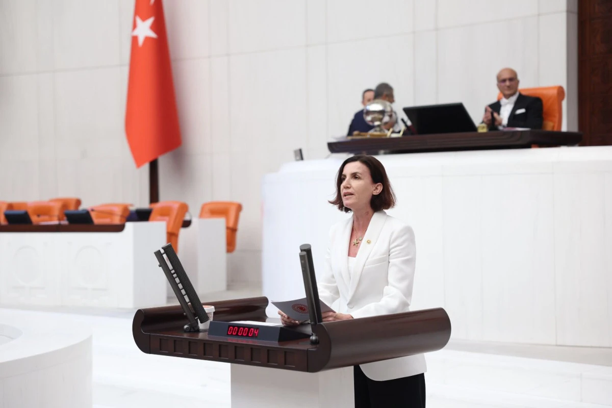 Manavgat'ın Sağlık Çilesi: Yeni Devlet Hastanesi Projesi Neden Yılan Hikâyesine Döndü?