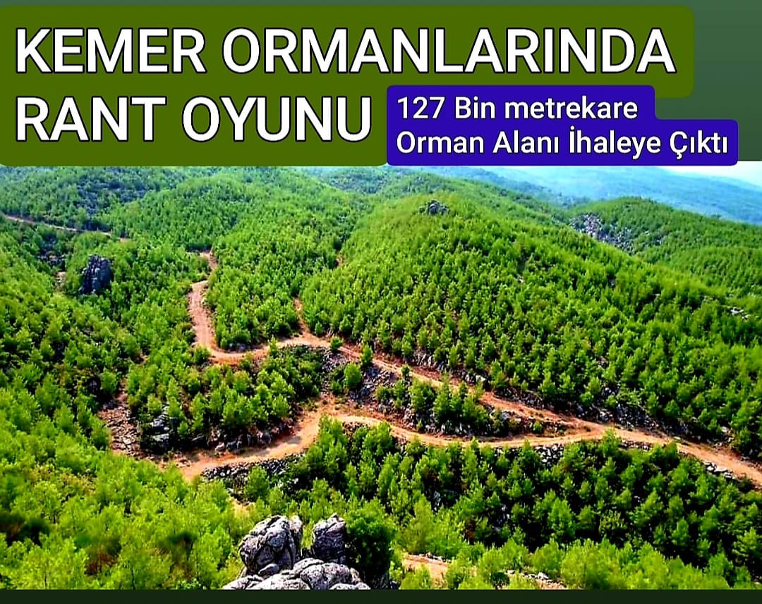 MİMARLAR ODASI'NIN ORMAN İSYANI