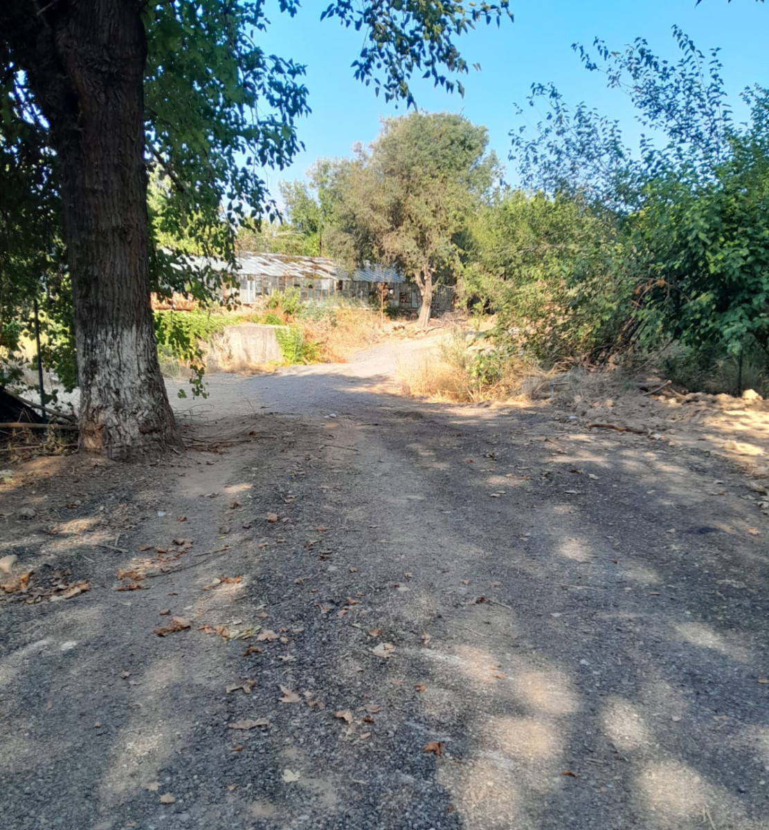 UYSAL'IN BAMBUS SAVAŞINDA MUTLU SON